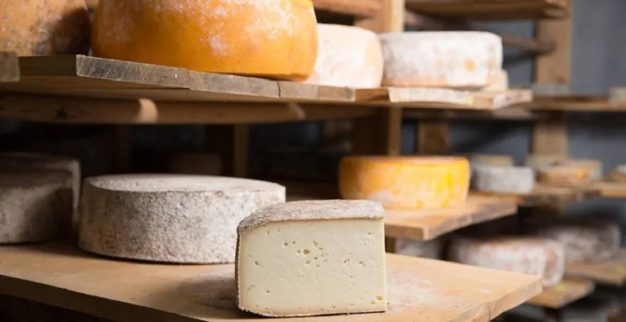 Servicios Strypee Quesería