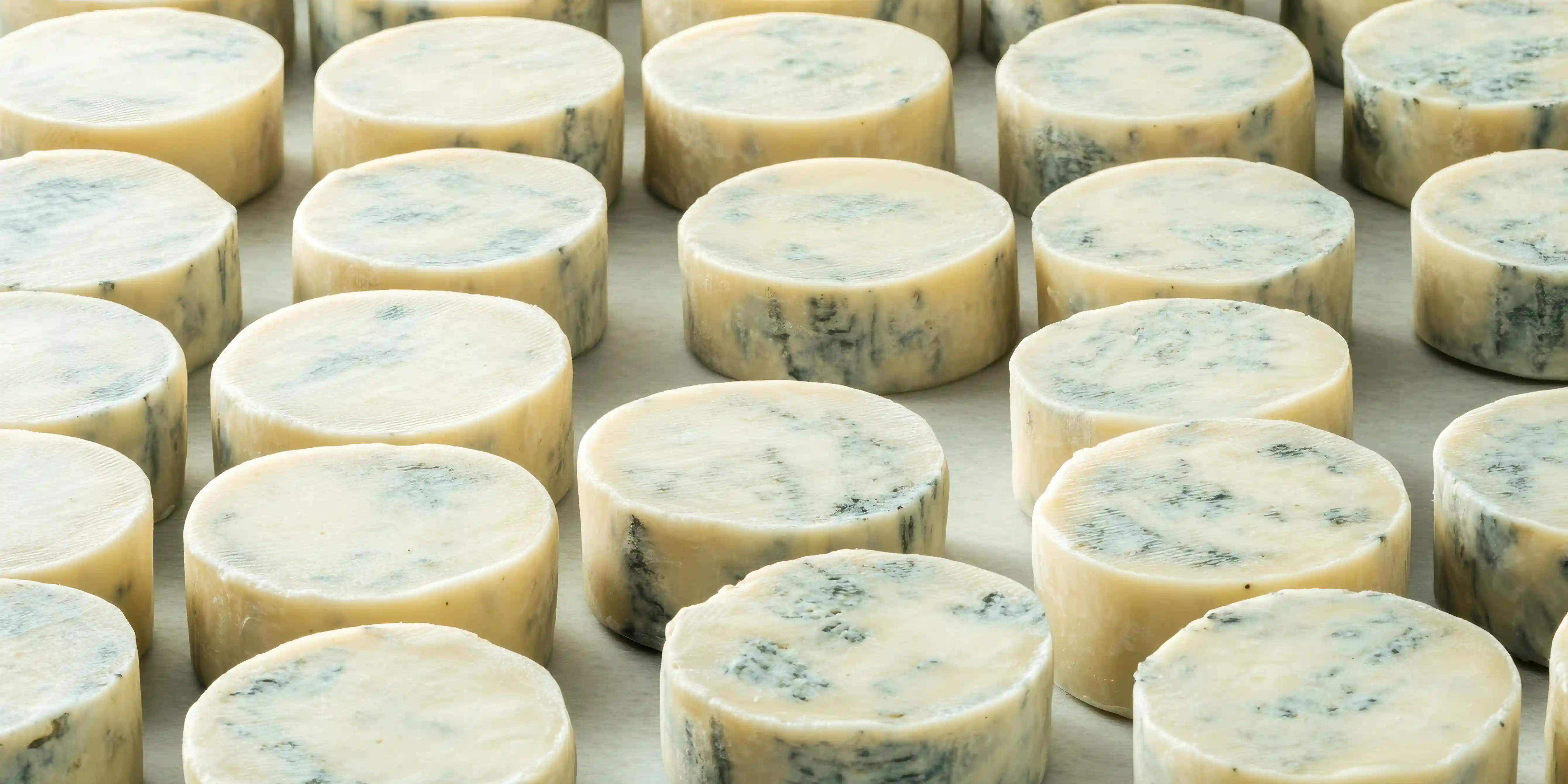 Del Campo al Queso Perfecto